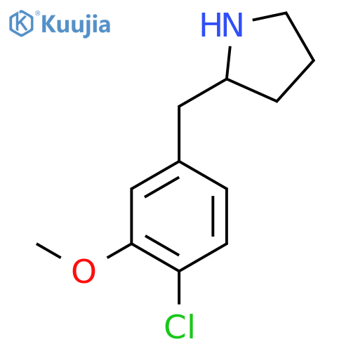 2-(4-chloro-3-methoxyphenyl)methylpyrrolidine structure