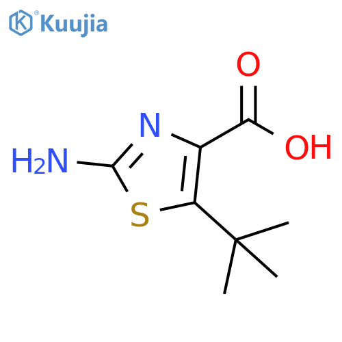 2-amino-5-tert-butyl-1,3-thiazole-4-carboxylic acid structure