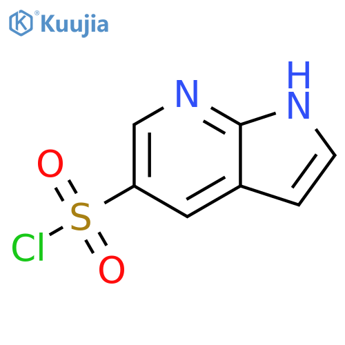 1H-pyrrolo2,3-bpyridine-5-sulfonyl chloride structure