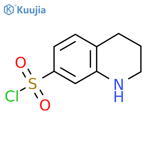 1,2,3,4-Tetrahydroquinoline-7-sulfonyl chloride structure