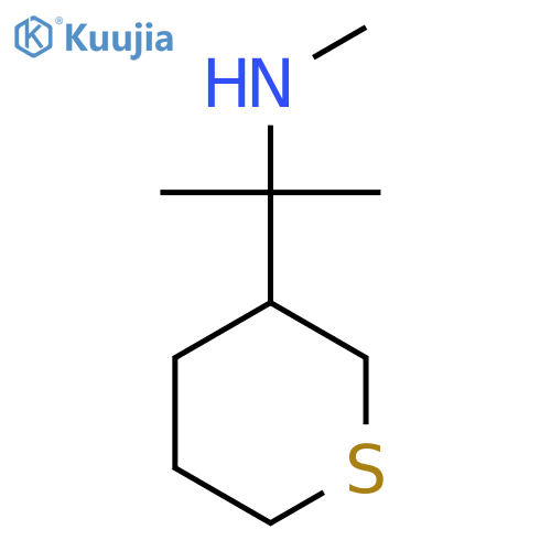 methyl2-(thian-3-yl)propan-2-ylamine structure