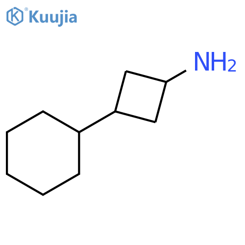 3-cyclohexylcyclobutan-1-amine structure