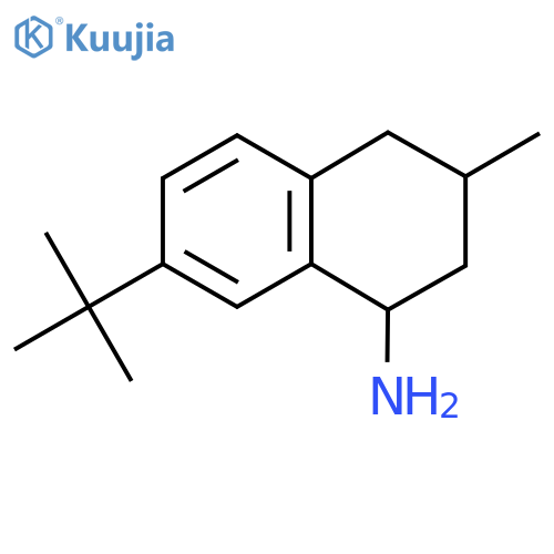 7-Tert-butyl-3-methyl-1,2,3,4-tetrahydronaphthalen-1-amine structure