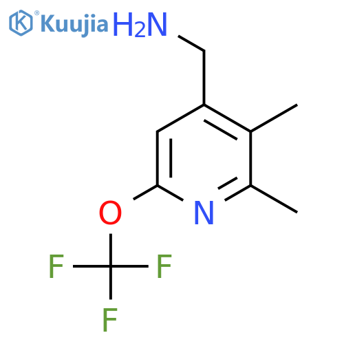 4-(Aminomethyl)-2,3-dimethyl-6-(trifluoromethoxy)pyridine structure