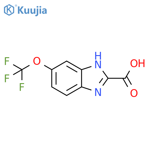 1H-Benzimidazole-2-carboxylic acid, 6-(trifluoromethoxy)- structure