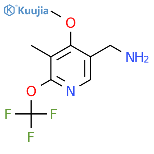 5-(Aminomethyl)-4-methoxy-3-methyl-2-(trifluoromethoxy)pyridine structure