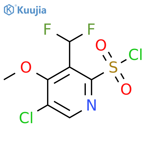 5-Chloro-3-(difluoromethyl)-4-methoxypyridine-2-sulfonyl chloride structure