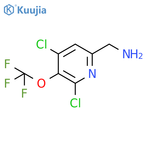6-(Aminomethyl)-2,4-dichloro-3-(trifluoromethoxy)pyridine structure
