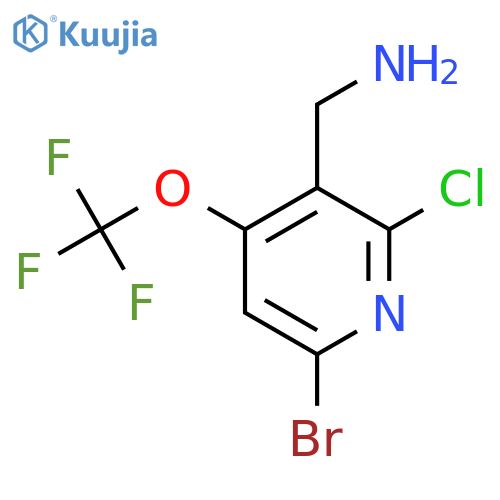 3-(Aminomethyl)-6-bromo-2-chloro-4-(trifluoromethoxy)pyridine structure