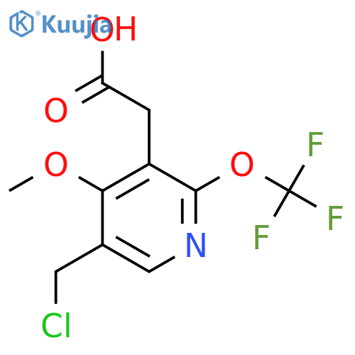 5-(Chloromethyl)-4-methoxy-2-(trifluoromethoxy)pyridine-3-acetic acid structure