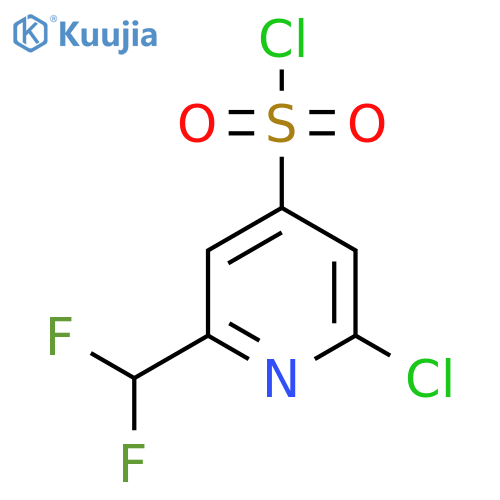 2-Chloro-6-(difluoromethyl)pyridine-4-sulfonyl chloride structure
