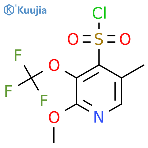 2-Methoxy-5-methyl-3-(trifluoromethoxy)pyridine-4-sulfonyl chloride structure