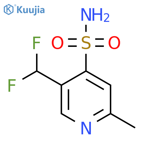 5-(Difluoromethyl)-2-methylpyridine-4-sulfonamide structure