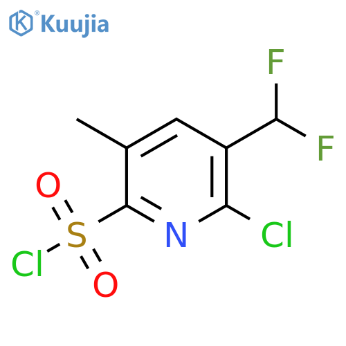 2-Chloro-3-(difluoromethyl)-5-methylpyridine-6-sulfonyl chloride structure