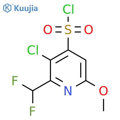 3-Chloro-2-(difluoromethyl)-6-methoxypyridine-4-sulfonyl chloride structure