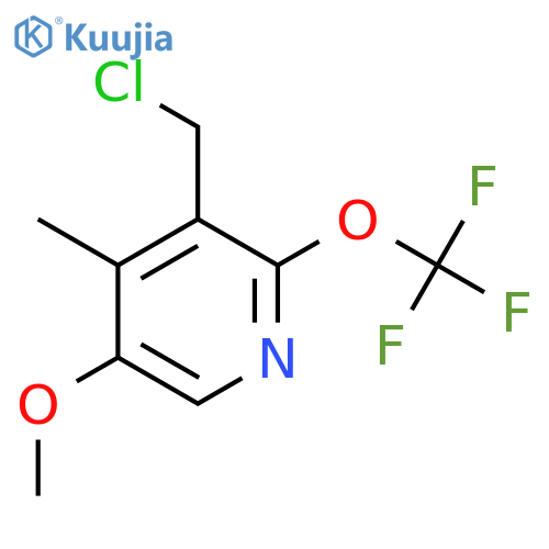 3-(Chloromethyl)-5-methoxy-4-methyl-2-(trifluoromethoxy)pyridine structure