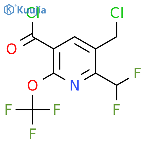 3-(Chloromethyl)-2-(difluoromethyl)-6-(trifluoromethoxy)pyridine-5-carbonyl chloride structure