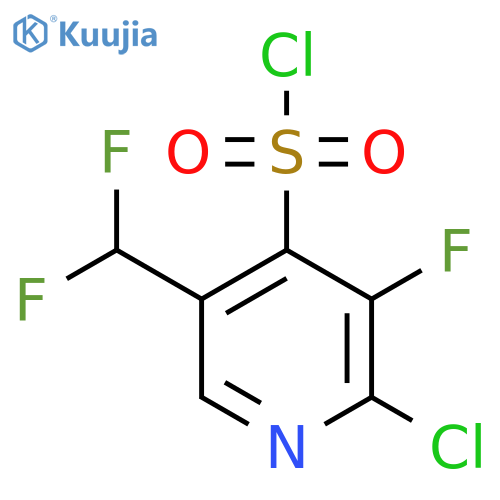 2-Chloro-5-(difluoromethyl)-3-fluoropyridine-4-sulfonyl chloride structure