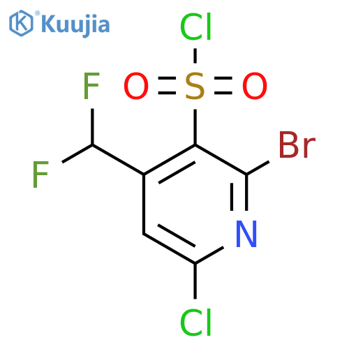 2-Bromo-6-chloro-4-(difluoromethyl)pyridine-3-sulfonyl chloride structure