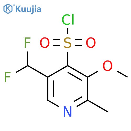 5-(Difluoromethyl)-3-methoxy-2-methylpyridine-4-sulfonyl chloride structure