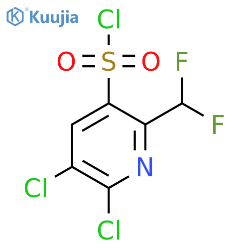 2,3-Dichloro-6-(difluoromethyl)pyridine-5-sulfonyl chloride structure