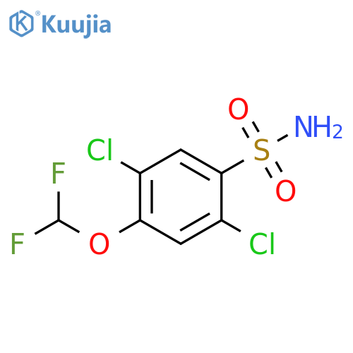 Benzenesulfonamide, 2,5-dichloro-4-(difluoromethoxy)- structure