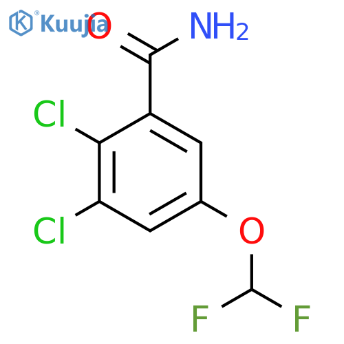 2,3-Dichloro-5-(difluoromethoxy)benzamide structure