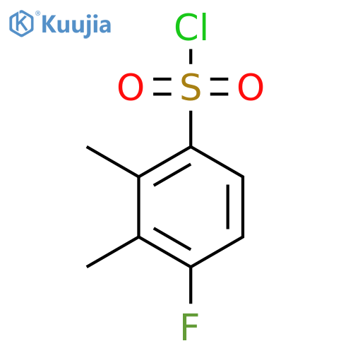 2,3-Dimethyl-4-fluorobenzenesulfonyl chloride structure