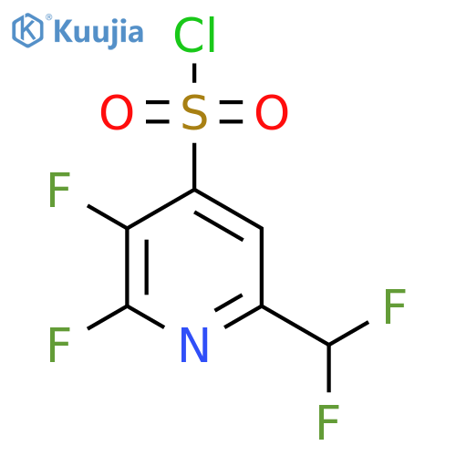 2,3-Difluoro-6-(difluoromethyl)pyridine-4-sulfonyl chloride structure