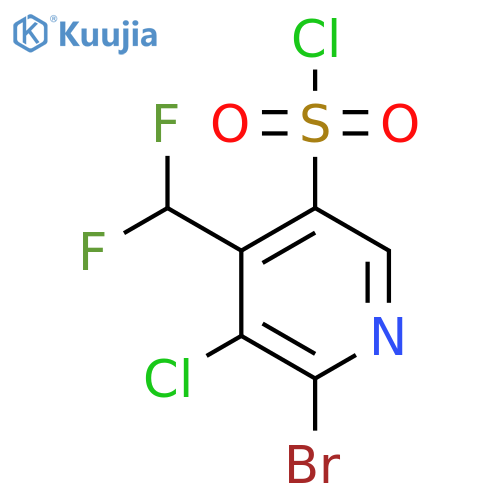 2-Bromo-3-chloro-4-(difluoromethyl)pyridine-5-sulfonyl chloride structure
