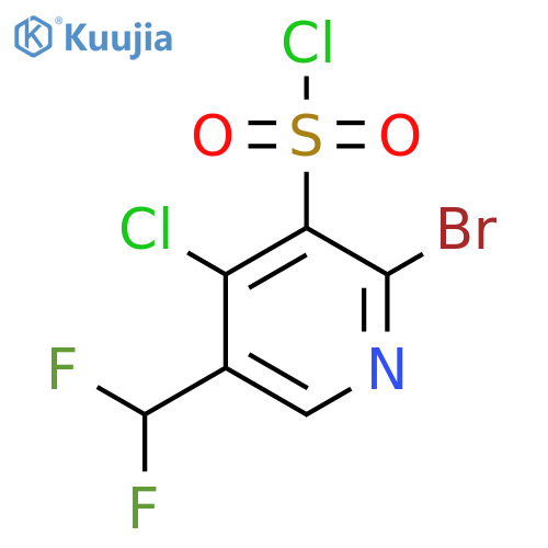 2-Bromo-4-chloro-5-(difluoromethyl)pyridine-3-sulfonyl chloride structure