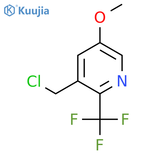 3-Chloromethyl-5-methoxy-2-(trifluoromethyl)pyridine structure
