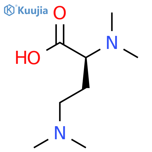 (2S)-2,4-bis(dimethylamino)butanoic acid structure