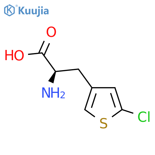 (2R)-2-Amino-3-(5-chlorothiophen-3-yl)propanoic acid structure