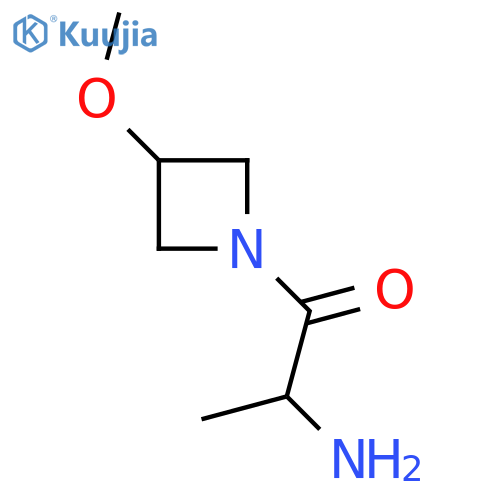 2-Amino-1-(3-methoxyazetidin-1-yl)propan-1-one structure