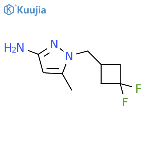 1-[(3,3-Difluorocyclobutyl)methyl]-5-methylpyrazol-3-amine structure