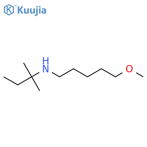 (5-Methoxypentyl)(2-methylbutan-2-yl)amine structure