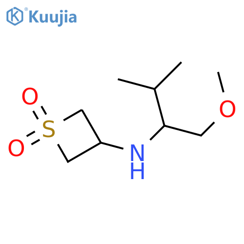 3-[(1-methoxy-3-methylbutan-2-yl)amino]-1λ⁶-thietane-1,1-dione structure