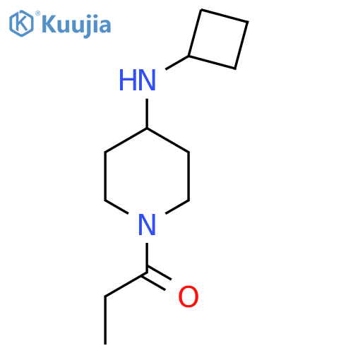 1-[4-(Cyclobutylamino)piperidin-1-yl]propan-1-one structure