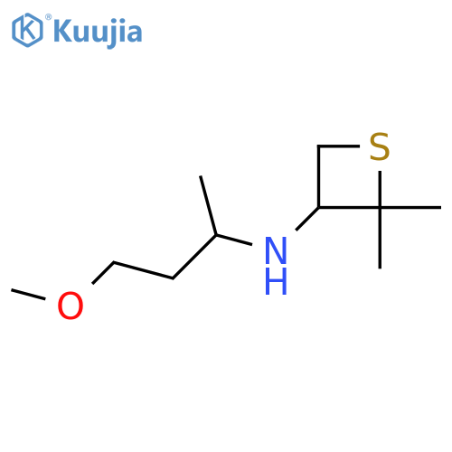 N-(4-methoxybutan-2-yl)-2,2-dimethylthietan-3-amine structure