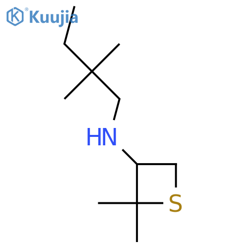 N-(2,2-Dimethylbutyl)-2,2-dimethylthietan-3-amine structure