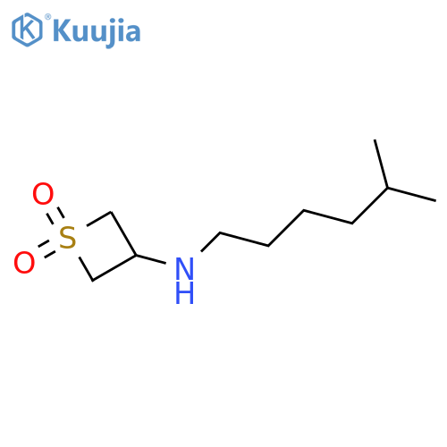 3-[(5-methylhexyl)amino]-1λ?-thietane-1,1-dione structure