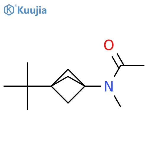 N-(3-tert-butyl-1-bicyclo[1.1.1]pentanyl)-N-methyl-acetamide structure