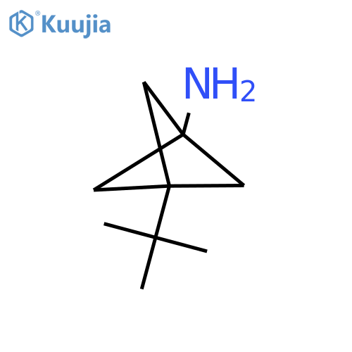 3-tert-butylbicyclo[1.1.1]pentan-1-amine hydrochloride structure