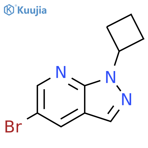 1H-Pyrazolo[3,4-b]pyridine, 5-bromo-1-cyclobutyl- structure