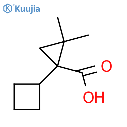 1-cyclobutyl-2,2-dimethylcyclopropane-1-carboxylic acid structure