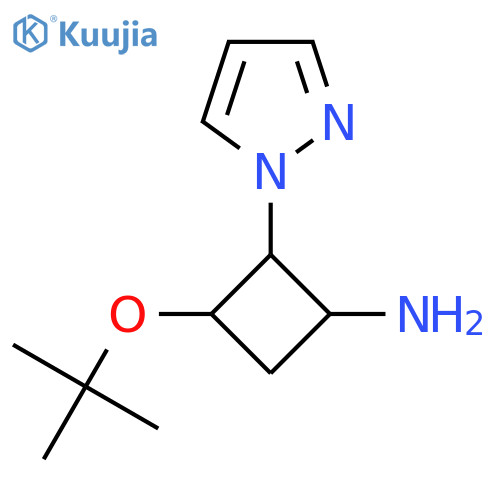 3-(tert-butoxy)-2-(1H-pyrazol-1-yl)cyclobutan-1-amine structure