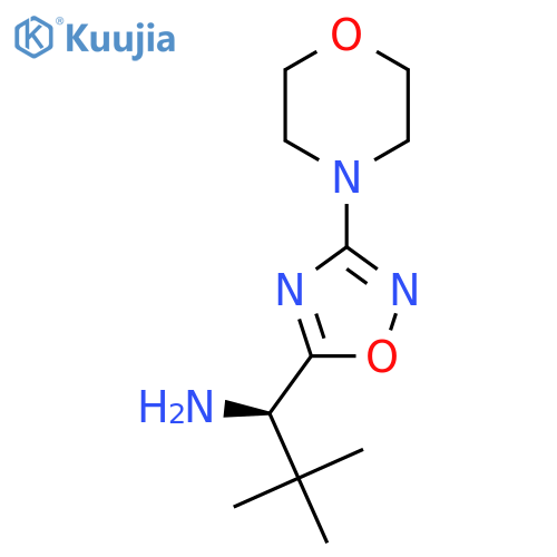 (1R)-2,2-dimethyl-1-3-(morpholin-4-yl)-1,2,4-oxadiazol-5-ylpropan-1-amine structure