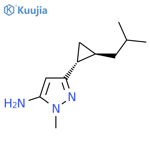 rac-1-methyl-3-(1R,2R)-2-(2-methylpropyl)cyclopropyl-1H-pyrazol-5-amine structure