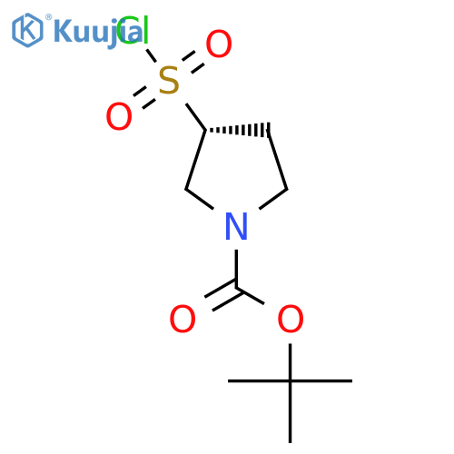 (3R)-3-(Chlorosulfonyl)-1,1-dimethylethyl Ester 1-Pyrrolidinecarboxylic Acid structure